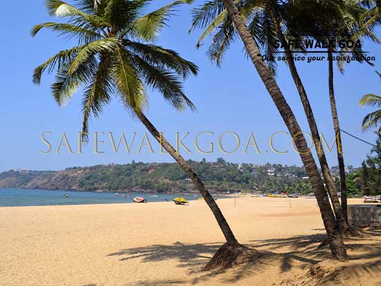 high profile escorts in baina beach goa